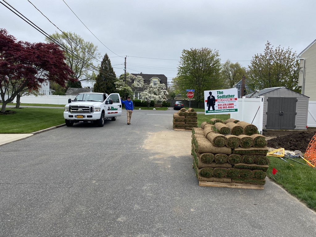 sod services long island new york-5